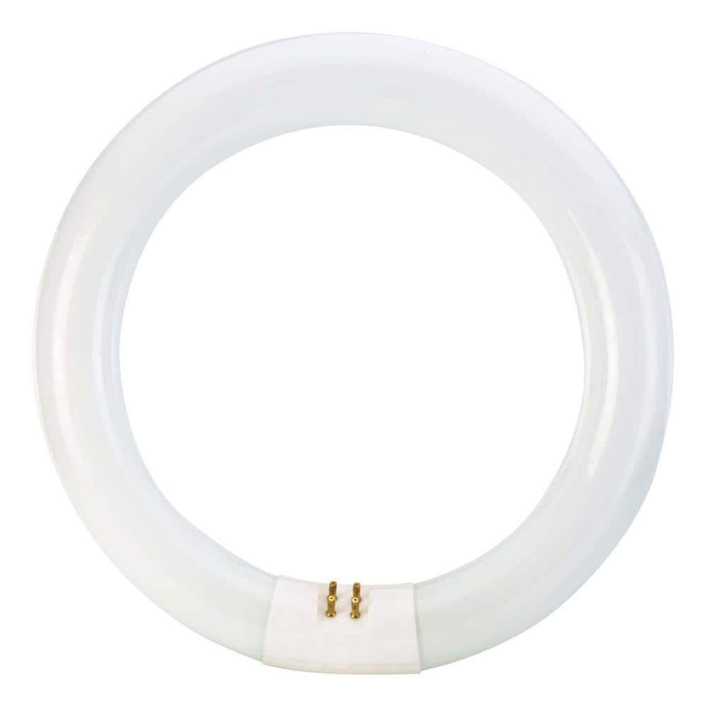 Philips 22-Watt 8 in. Linear T9 Fluorescent Tube Light Bulb, Daylight Deluxe 6500K, Circline
