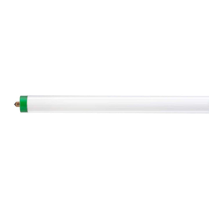 Philips 59-Watt 8 ft. Alto T8 Fluorescent Tube Light Bulb, Cool White (4100K)