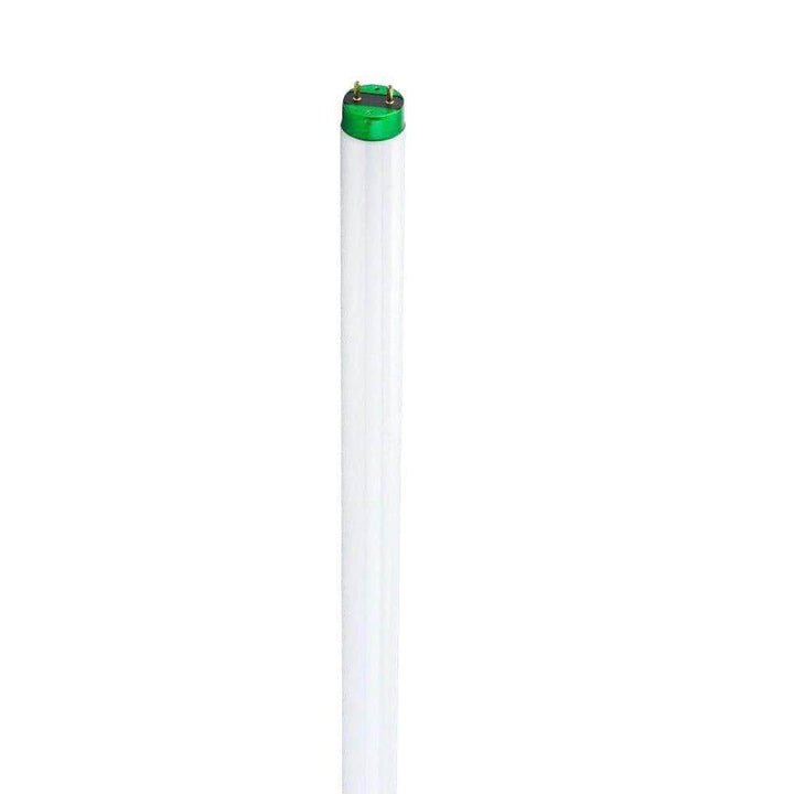 Philips 15-Watt 18 in. Linear T8 ALTO Fluorescent Tube Light Bulb, Daylight Deluxe 6500K