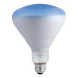 Philips 120-Watt BR40 Agro Plant Flood Grow Light Bulb