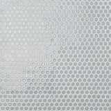 Eden Modern Gray Rimmed 1" Hexagon Polished Porcelain Mosaic Tile