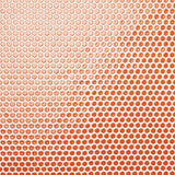 Eden Orange Nectar Rimmed Penny Round Polished Porcelain Mosaic Tile