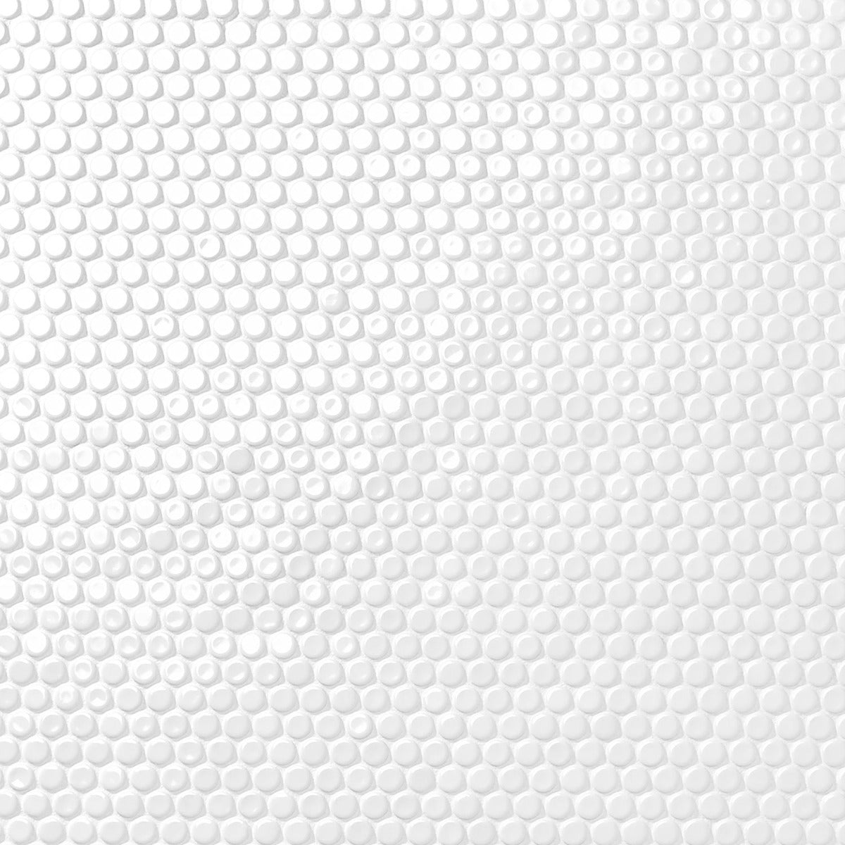 Eden White Penny Round Polished Porcelain Mosaic Tile