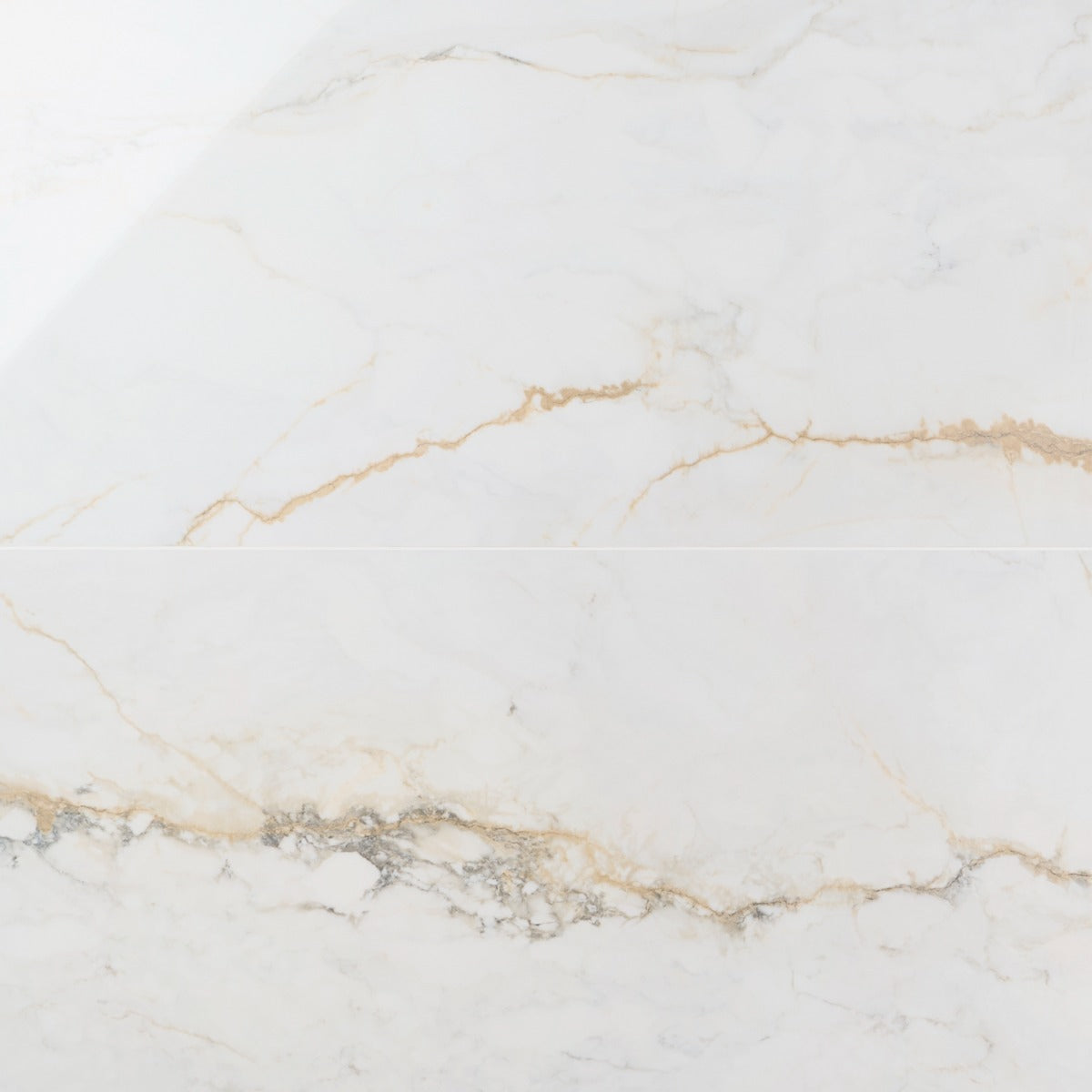 Lux Tile Calacatta Macchia White Gold 24x48 Polished Porcelain Tile