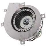 Goodman-Amana R0156859 inducer motor - detail view (Voltage: 115V; RPM: 3000)
