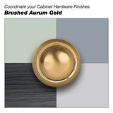 Richelieu 1-9/16 in. x 7/8 in. (40 mm x 22 mm) Aurum Brushed Gold Contemporary Metal Cabinet Knob