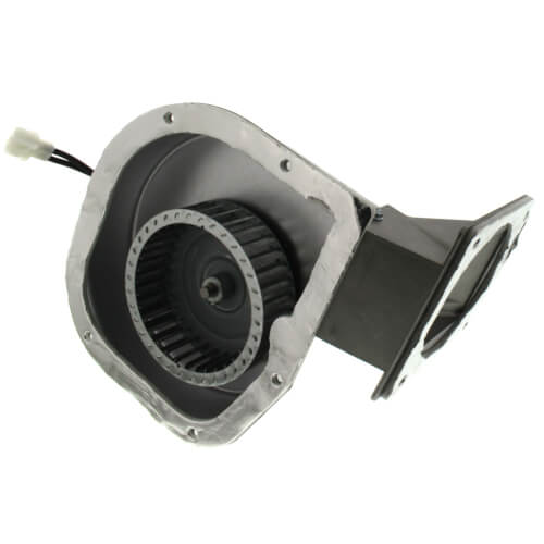 York S1-02427519000 inducer motor - detail view (Voltage: 115V; Product Type: Inducer Motor)