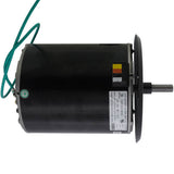 York S1-6007532 motor - detail view (Voltage: 460V; Product Type: Motor)