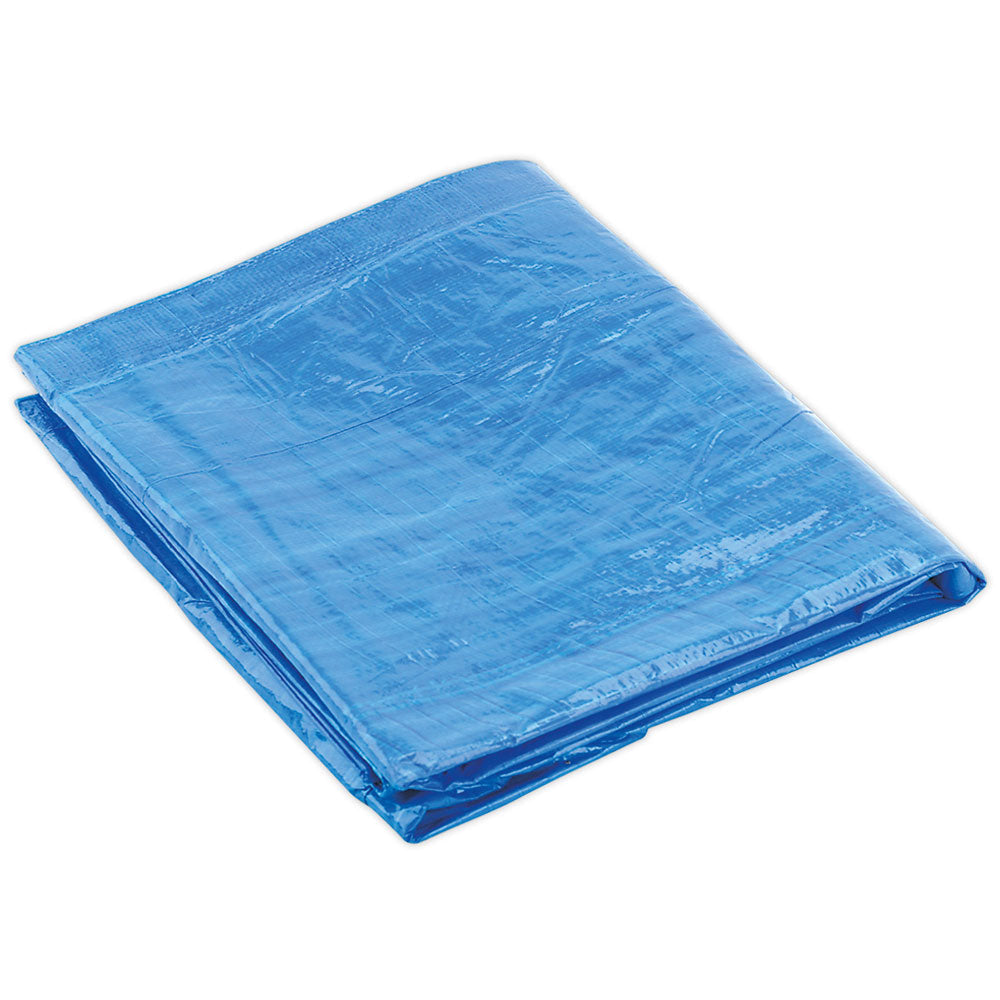 Tarp Blue 20' x 40'