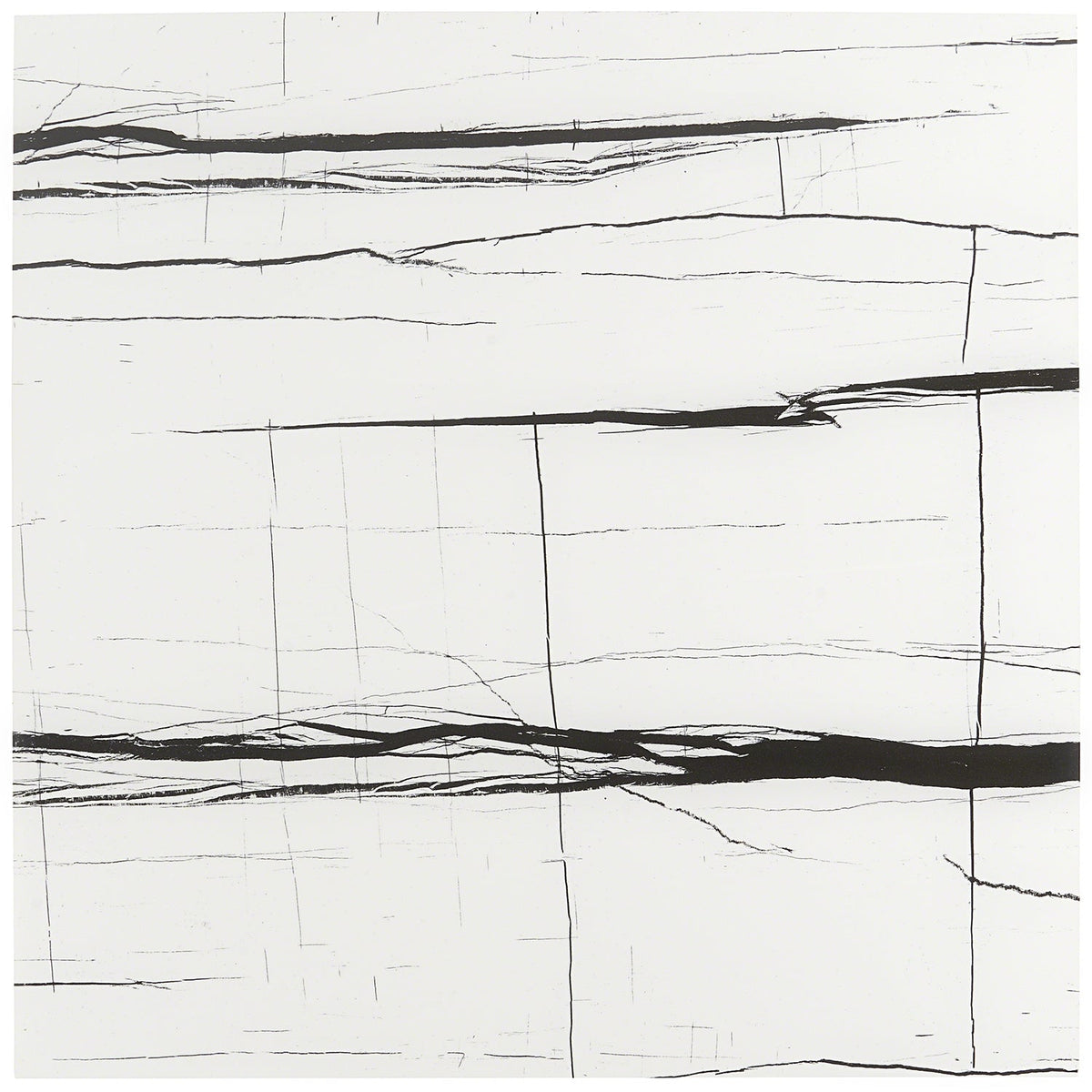 Lumina Sahara Noir Black & White 24x24 Polished Porcelain Tile