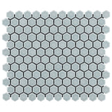 Eden Modern Gray Rimmed 1" Hexagon Polished Porcelain Mosaic Tile