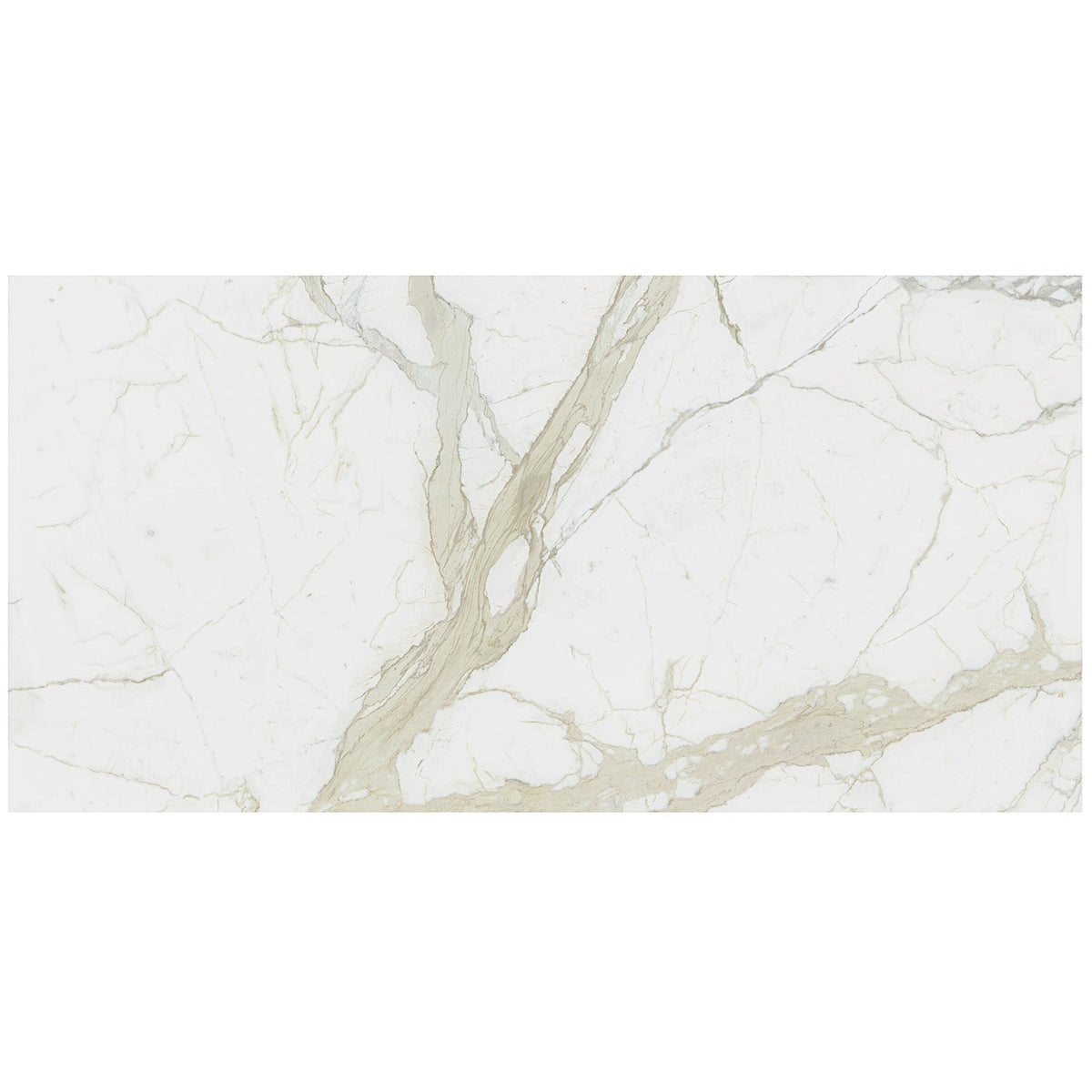 TileBarXL Marmi Slim White Calacatta 60x120 Polished Porcelain Slab