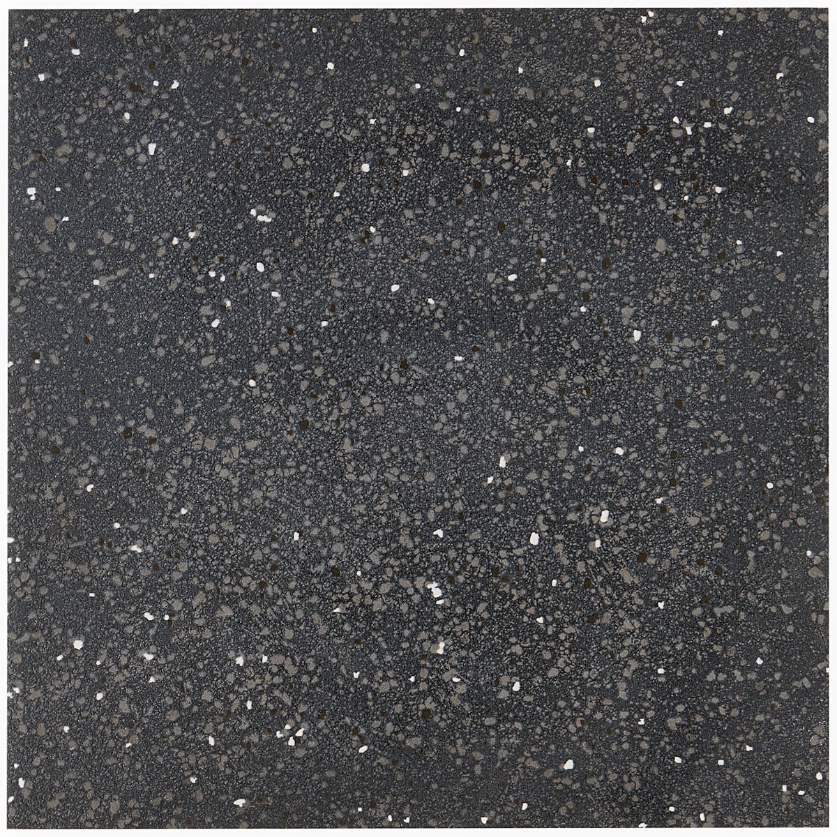 Elizabeth Sutton Charcoal Black Terrazzo 8x8 Matte Porcelain Tile