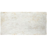 Tilebar Portrait Ivory Beige 24x48 Matte Porcelain Tile