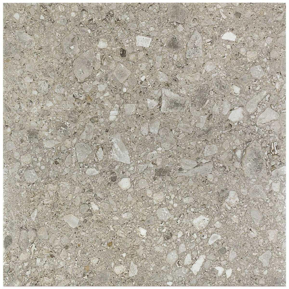 Rizo Tortora Gray 24x24 Terrazzo Look Semi-Polished Porcelain Tile