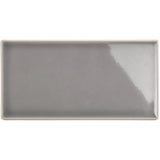 Vector Gris Gray 4x8 Polished Ceramic Subway Tile