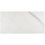 Tilebar Marmi Bianco Venato Matte Porcelain Tile 24x48