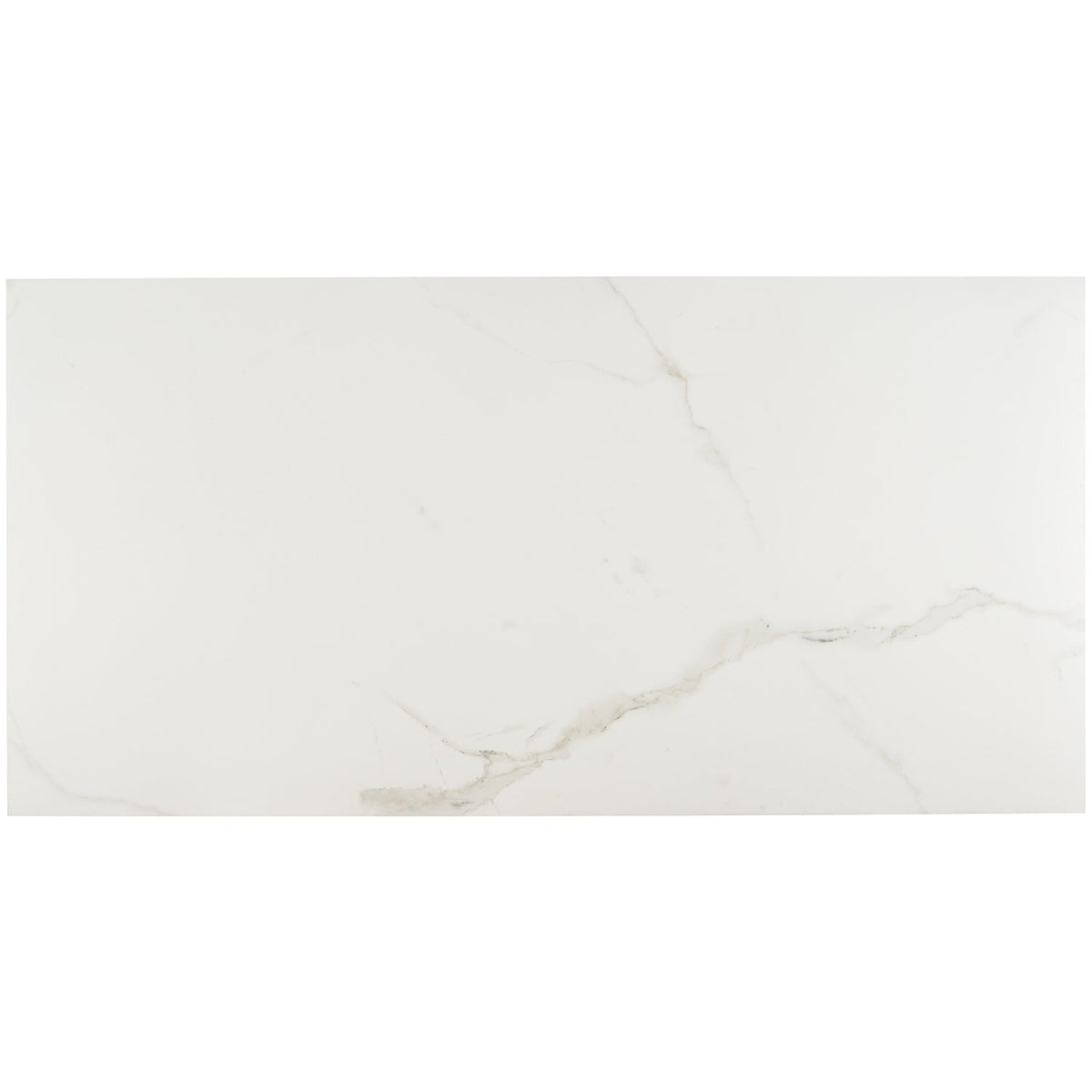 Lux Tile Calacatta White Matte Porcelain Tile 24x48