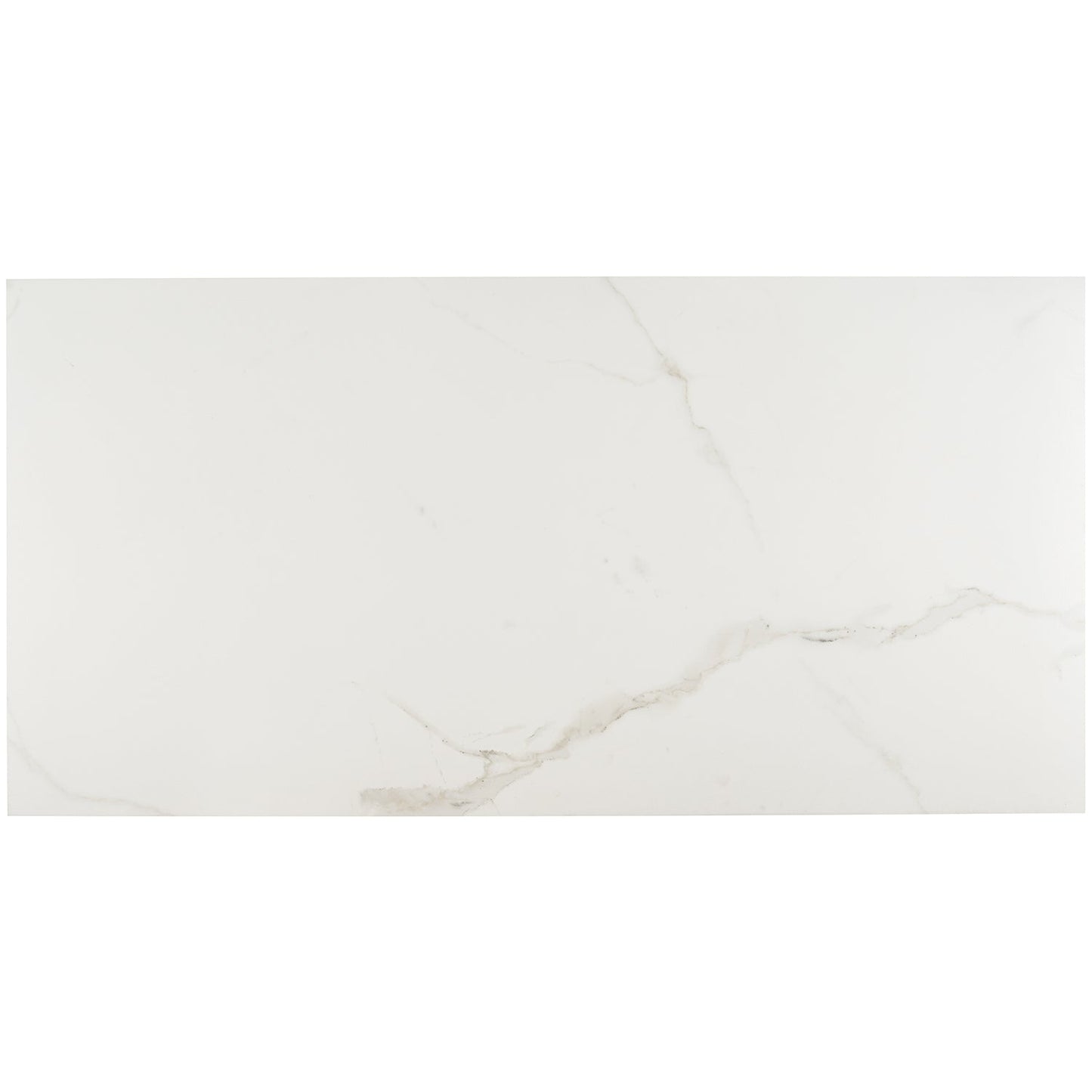 Lux Tile Calacatta White Matte Porcelain Tile 24x48