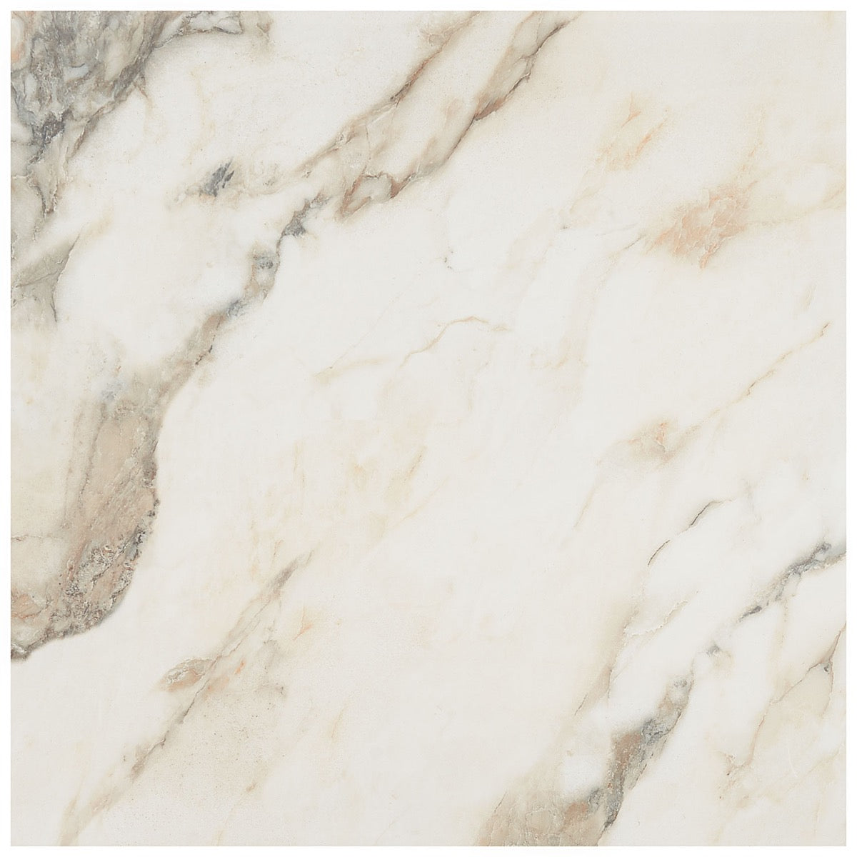 DreamStone Calacatta Rustico Polished Porcelain Tile - 24x24