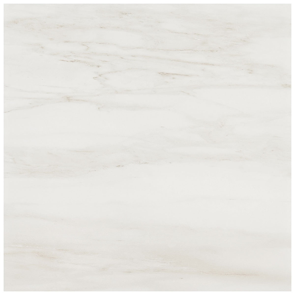 DreamStone Dolomite Snow White 24x24 Matte Porcelain Tile