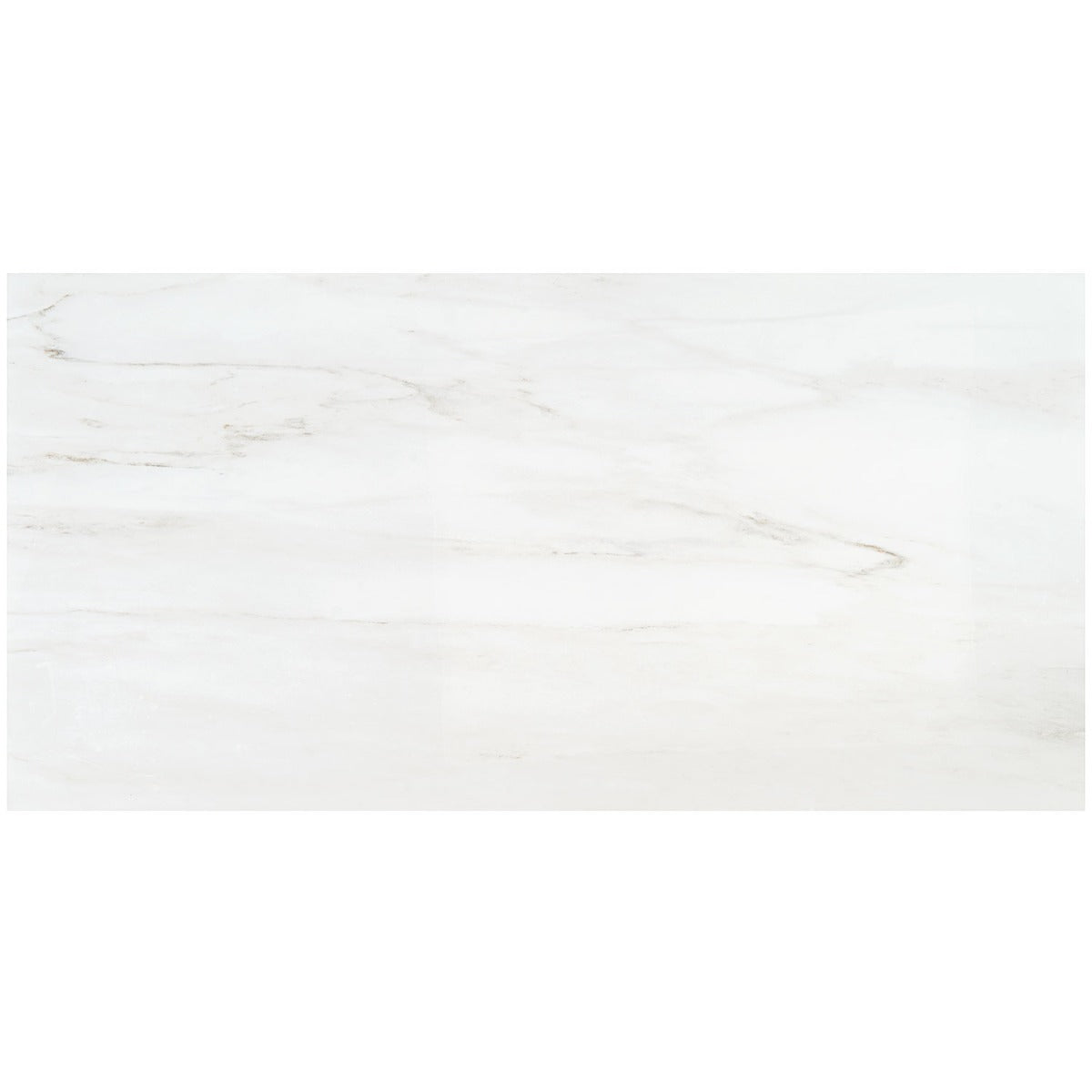 Tilebar DreamStone Dolomite Snow White 24x48 Polished Porcelain Tile