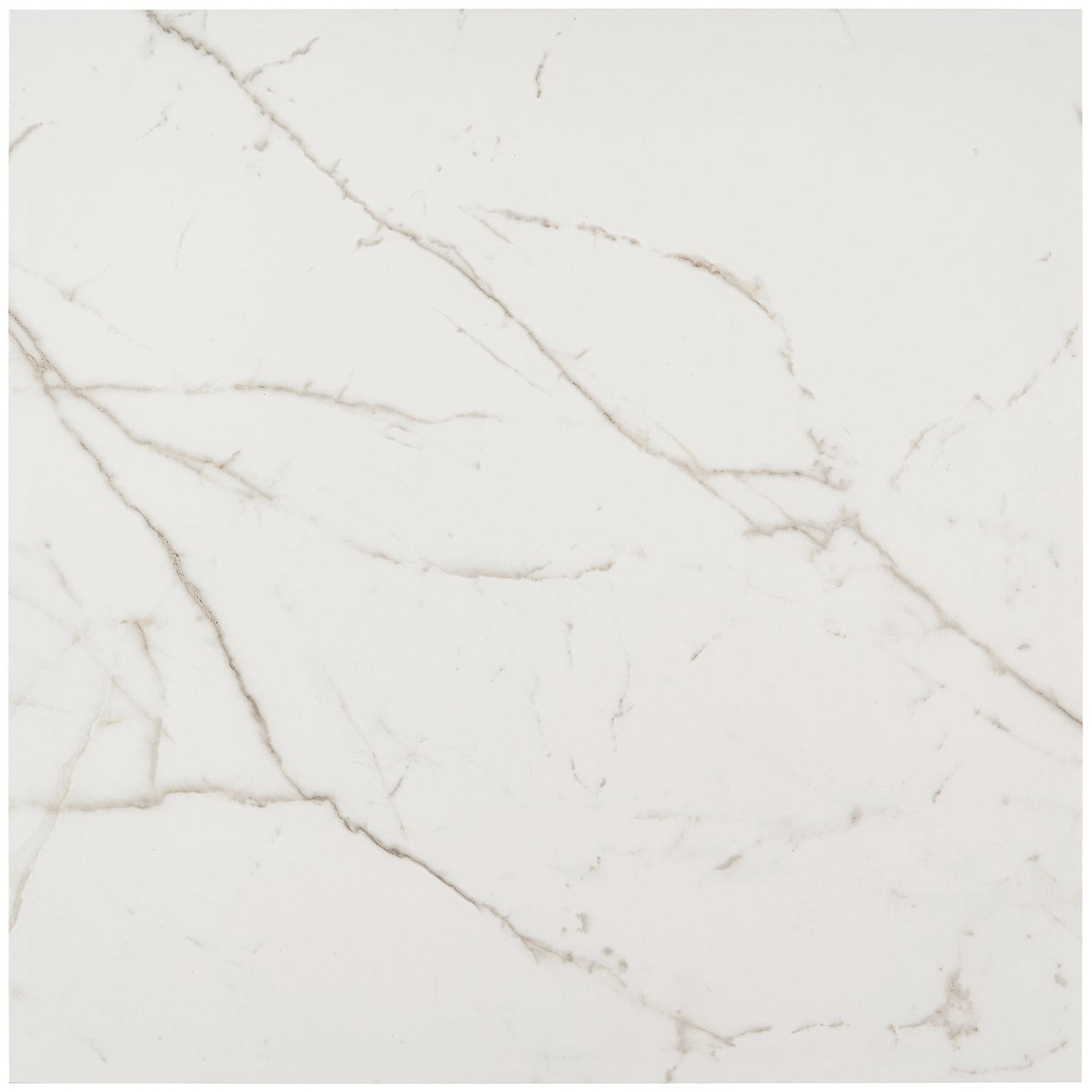 Versilia Statuario Matte Porcelain Tile 24x24 - Lux Tile