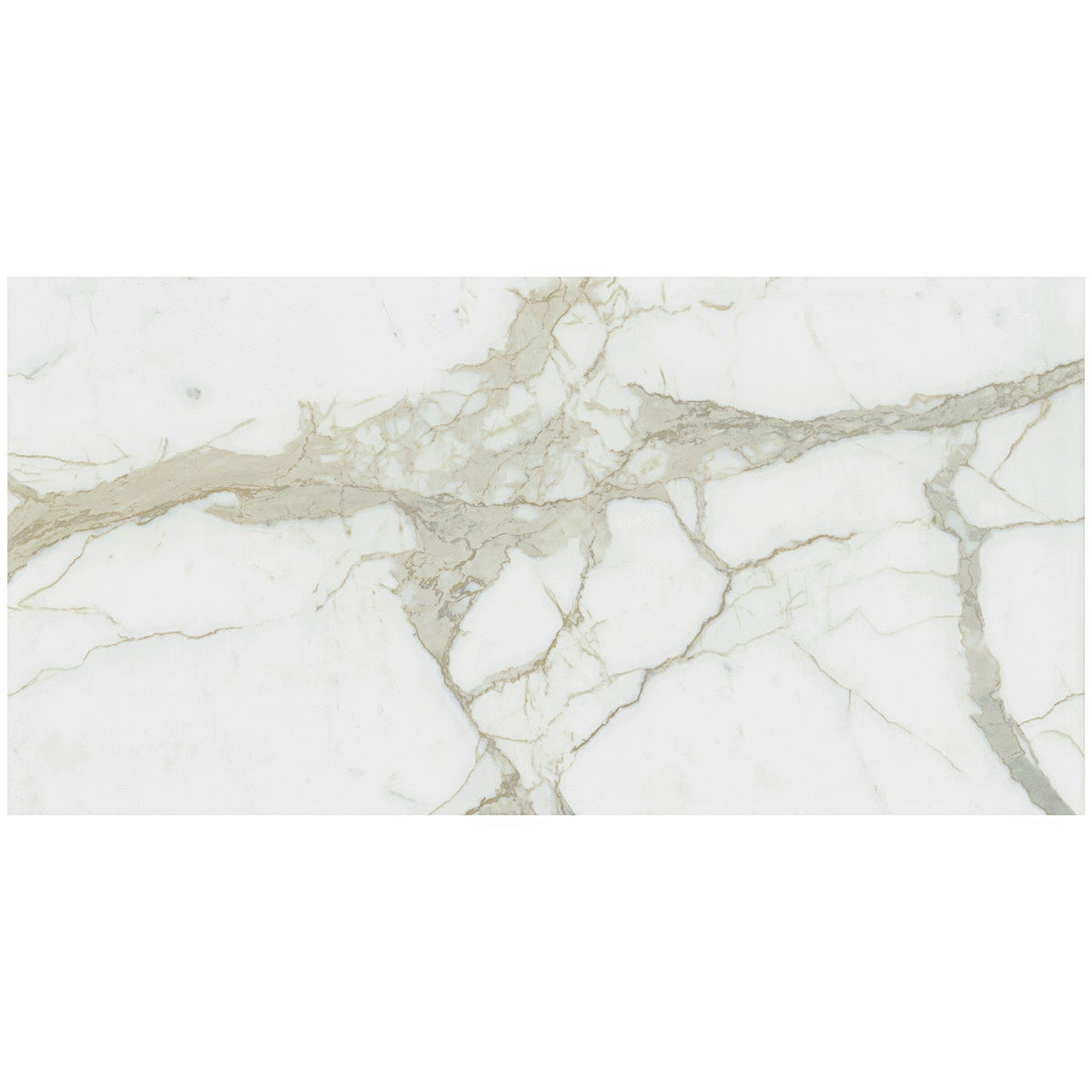 TileBarXL Marmi Slim Calacatta White 30x60 Polished Porcelain Slab
