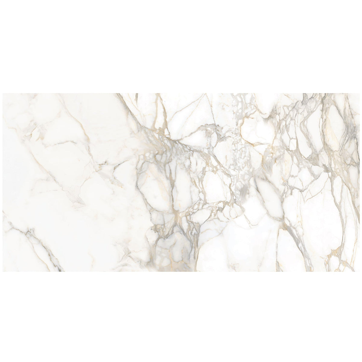 Tilebar Marmi Slim Bernini Oro 30x60 Polished Porcelain Slab
