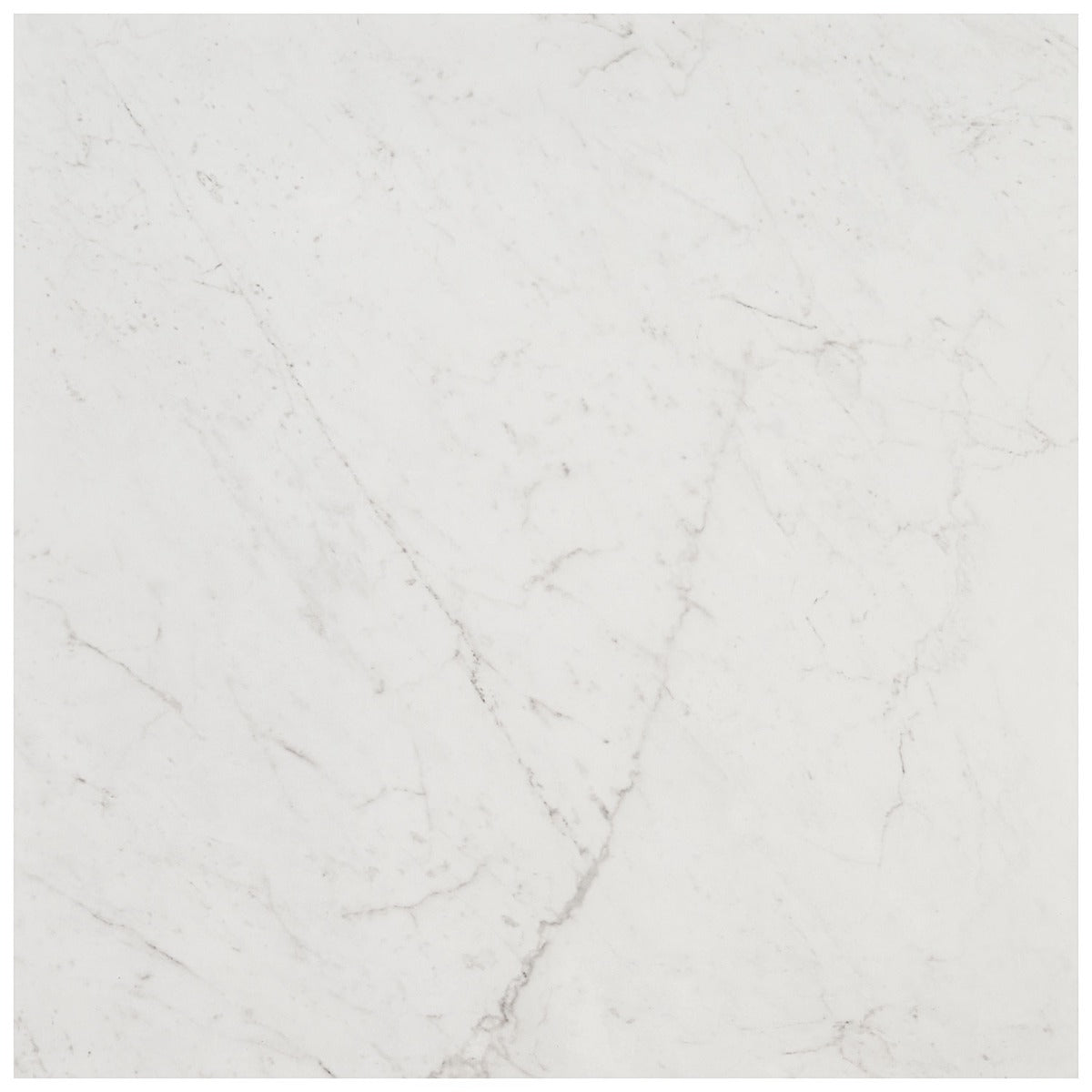 DreamStone Carrara Giola 24x24 Polished Porcelain Tile