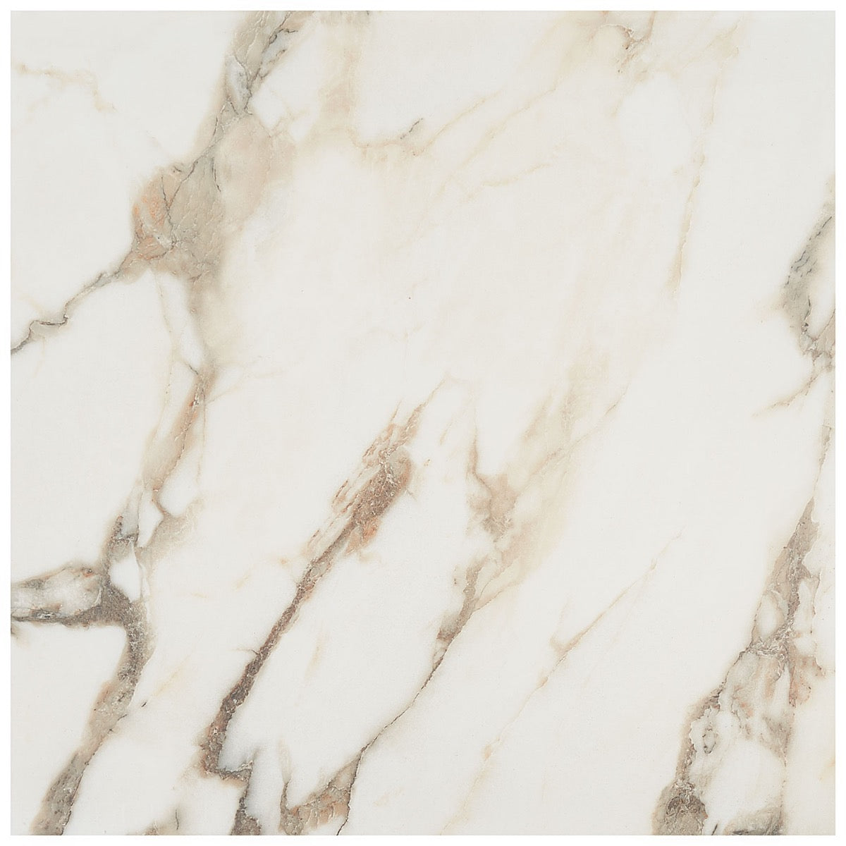 DreamStone Calacatta Rustico Polished Porcelain Tile - 24x24