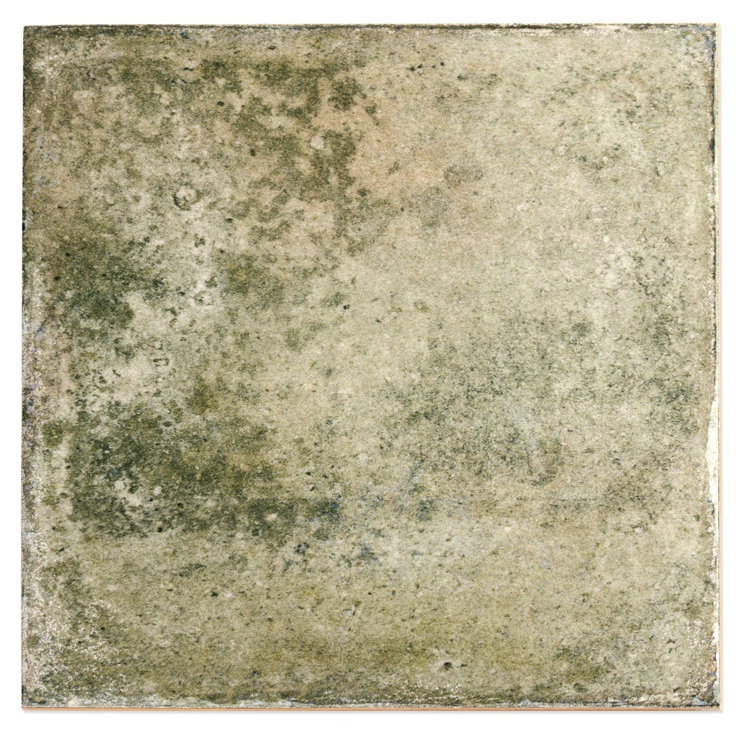 Angela Harris Dunmore Green 8x8 Polished Ceramic Wall Tile