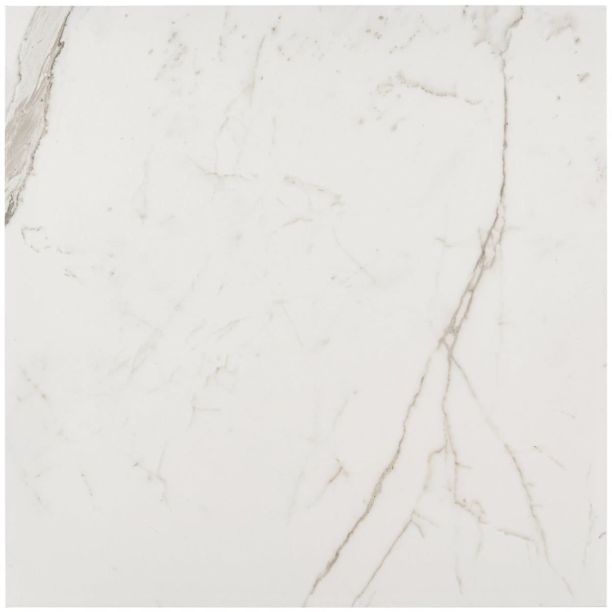 Versilia Statuario Matte Porcelain Tile 24x24 - Lux Tile