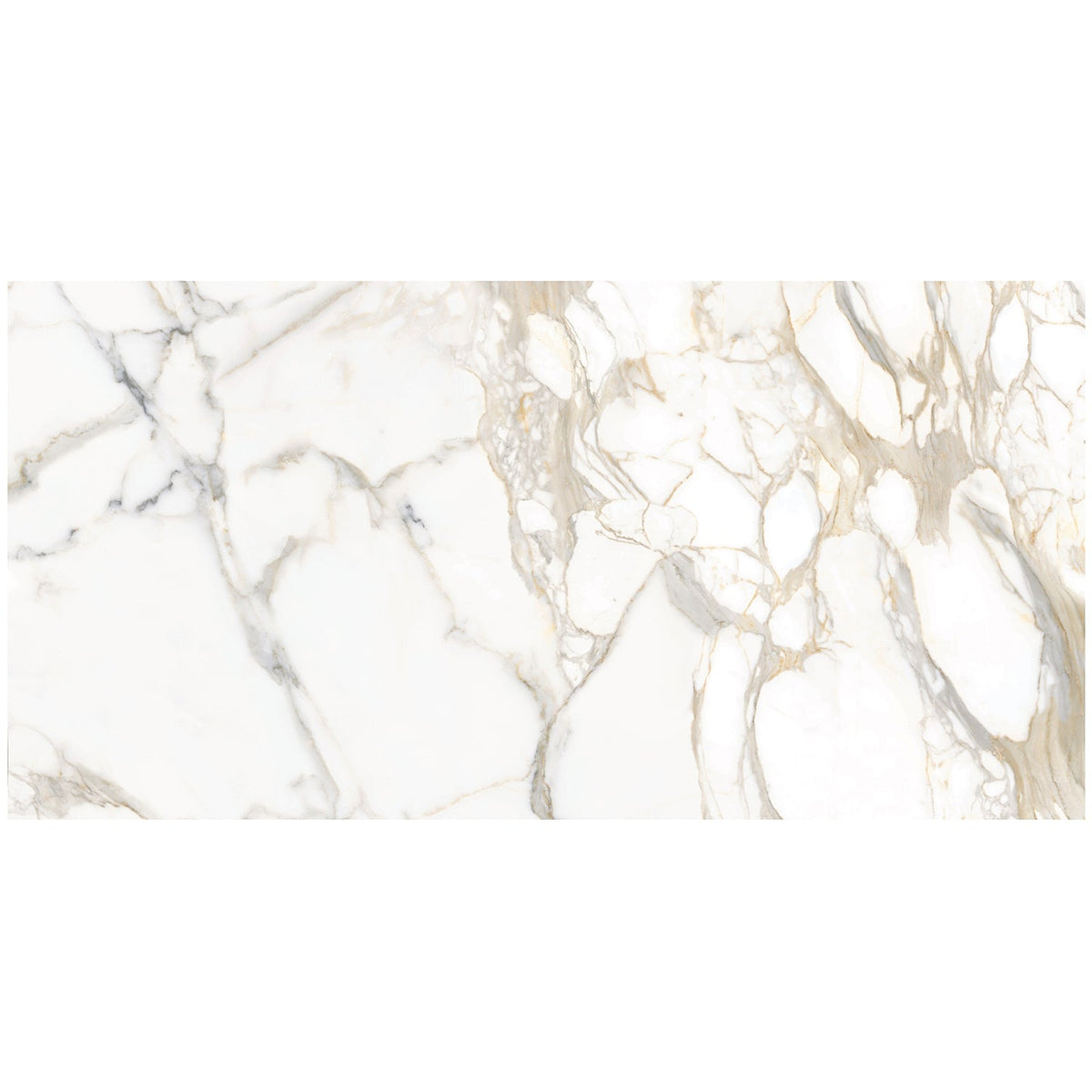 Tilebar Marmi Slim Bernini Oro 30x60 Polished Porcelain Slab