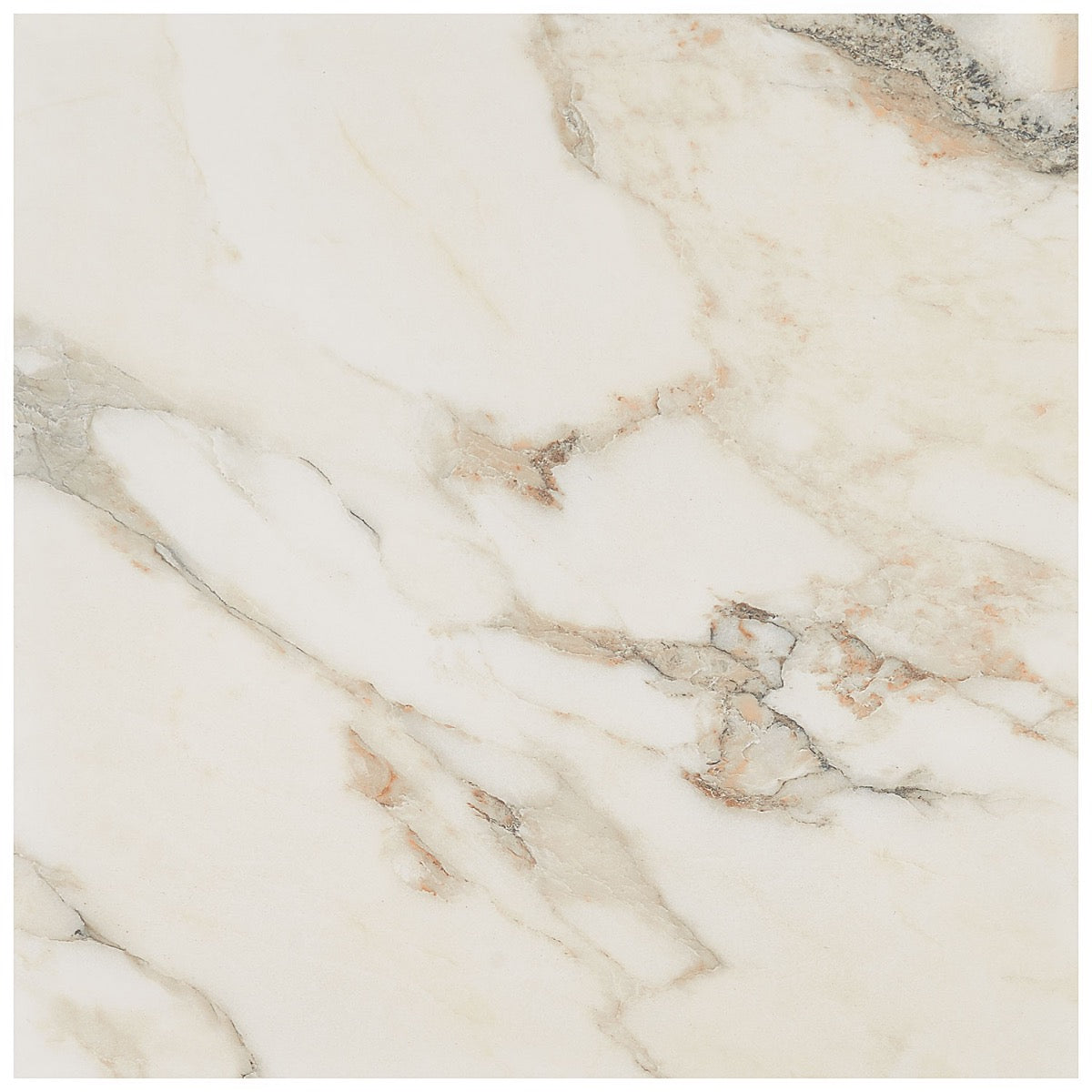 Dreamstone Calacatta Rustico Beige 24x24 Matte Porcelain Tile