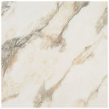 DreamStone Calacatta Rustico Polished Porcelain Tile - 24x24
