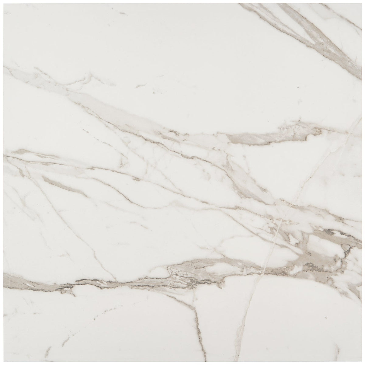 Versilia Statuario Matte Porcelain Tile 24x24 - Lux Tile