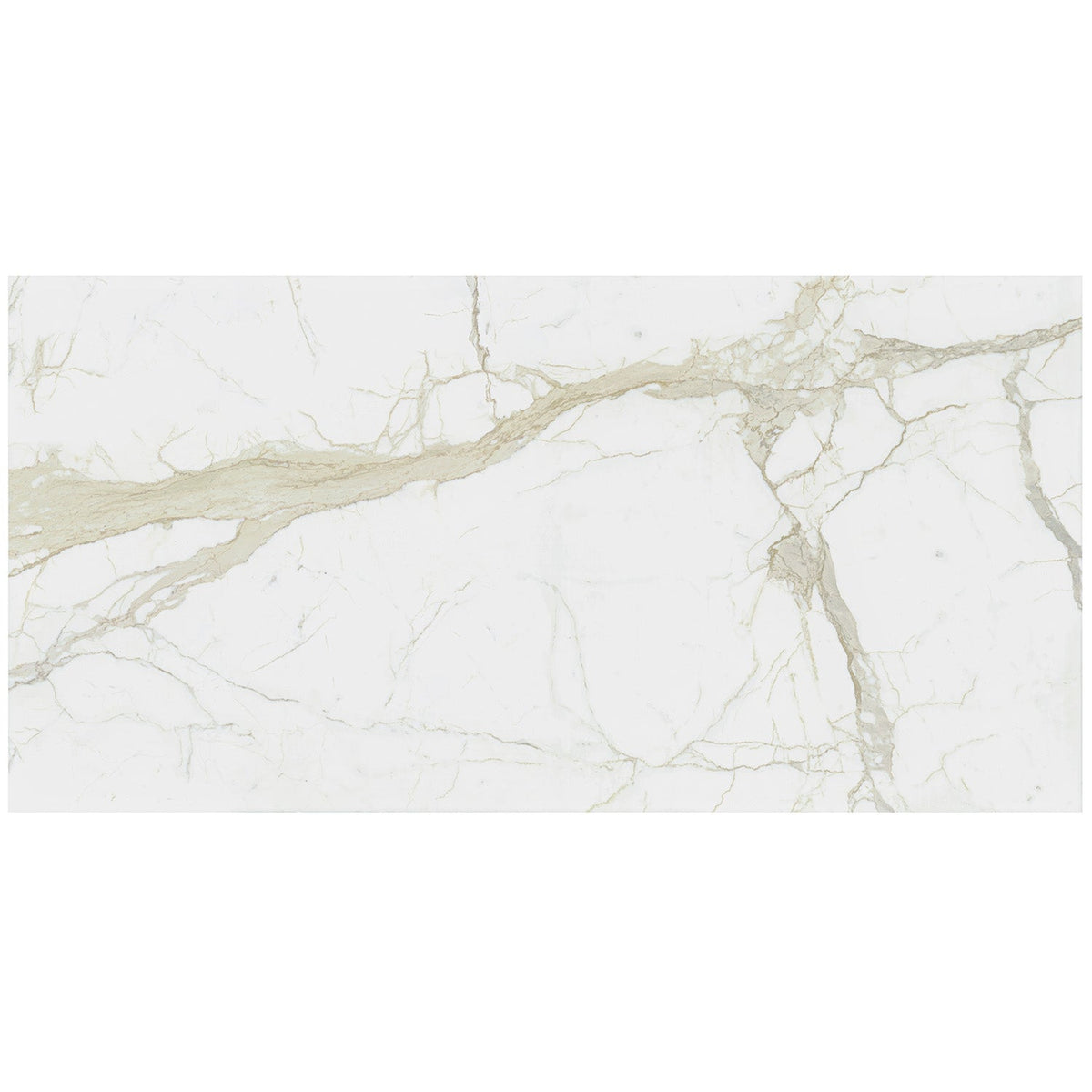 TileBarXL Marmi Slim White Calacatta 60x120 Polished Porcelain Slab