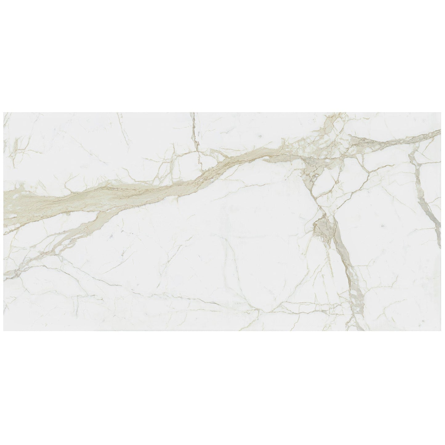 TileBarXL Marmi Slim White Calacatta 60x120 Polished Porcelain Slab