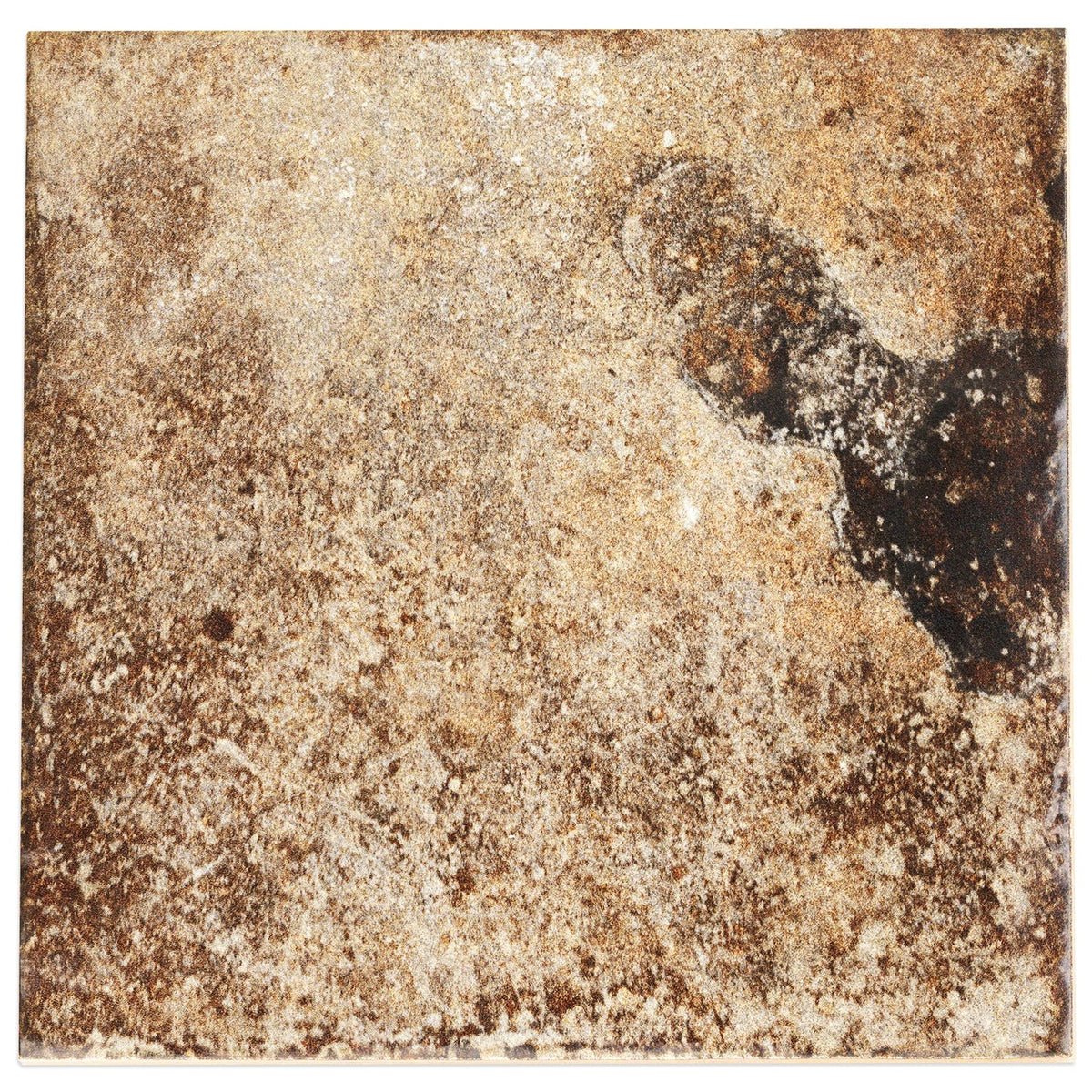 Angela Harris Dunmore Cotto Brown 8x8 Matte Ceramic Tile - Lux Tile