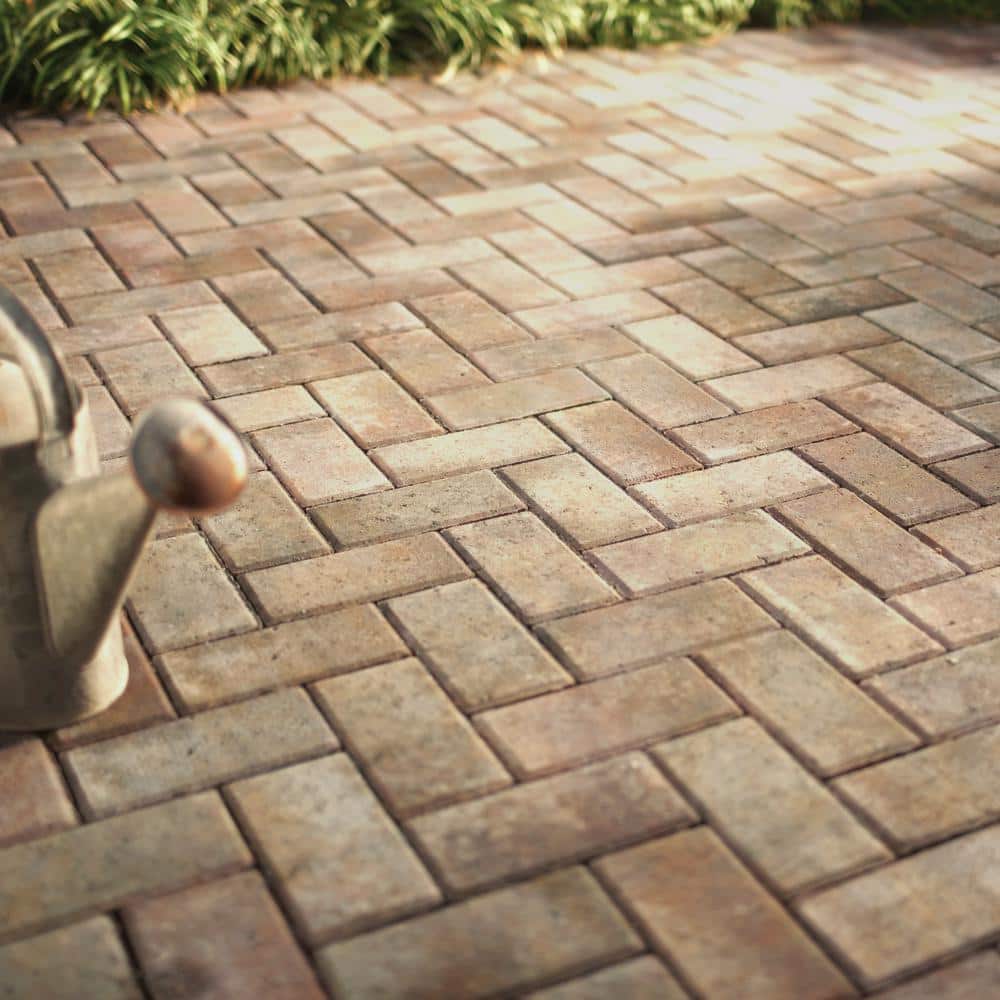 Pavestone Holland 7.87 in. L x 3.94 in. W x 1.77 in. H Salisbury Blend Concrete Paver (672-Piece/145 sq. ft./Pallet)