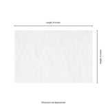 MSI Crystal White 3 cm. x 16 in. x 24 in. Sandblast Marble Paver Tile (2.66 sq. ft.)
