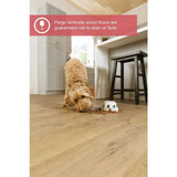 Pergo Outlast+ 7.4 in. W Sandy Cove Oak Laminate Wood Flooring (19.63 sq. ft./case)