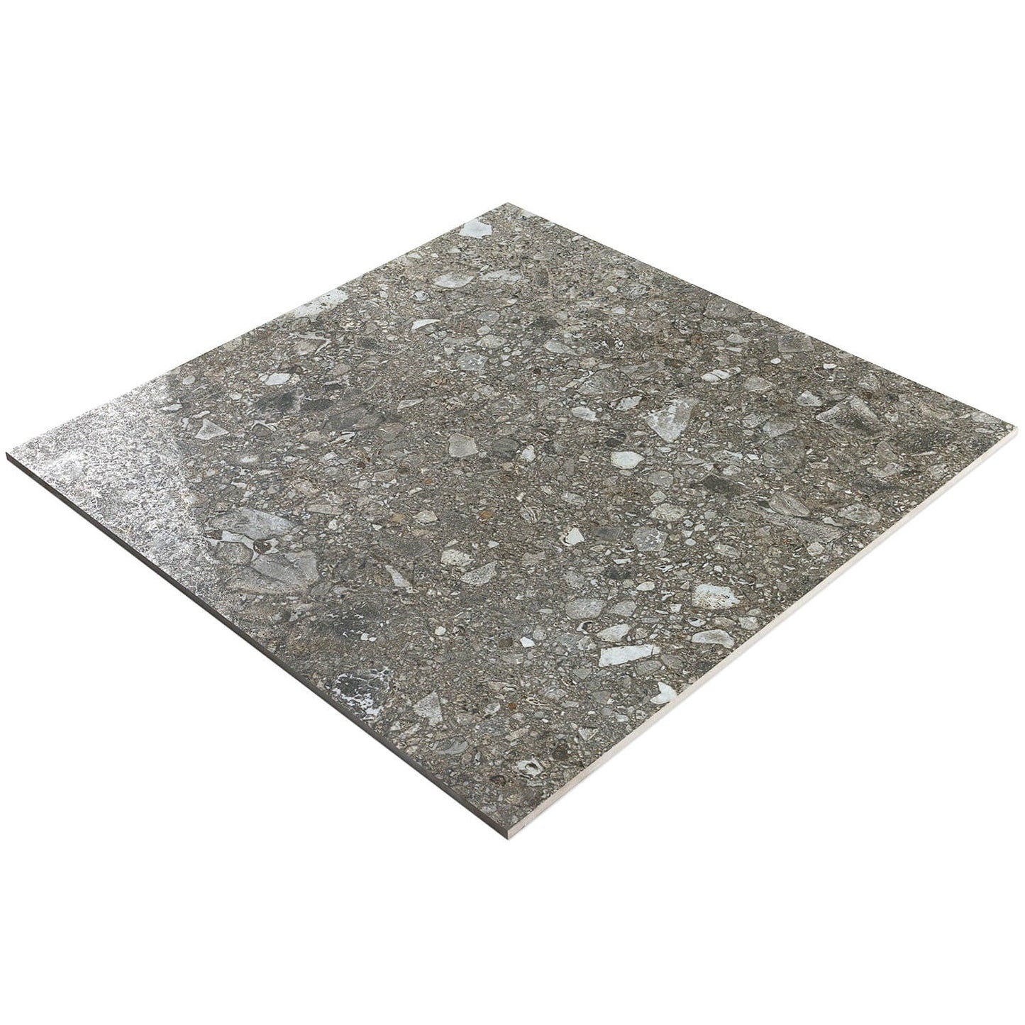 Rizo Antracite Dark Gray 24x24 Terrazzo Look Semi-Polished Porcelain Tile