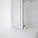 TaiMei 23 in. x 30 in. Frameless Recessed or Surface-Mount Beveled Single Mirror Bathroom Medicine Cabinet