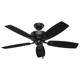 Hunter Sea Wind 48-in Matte Black Indoor/Outdoor Flush Mount Ceiling Fan (5-Blade)