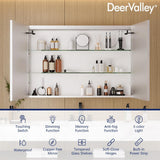 DEERVALLEY 48 in. W x 32 in. H Rectangular Silver Aluminum Surface LED Light Medicine Cabinet with Mirror, Anti-Fog, Double Doors