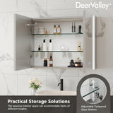 DEERVALLEY 32 in. W x 24 in. H Rectangular Wall Mounted LED Light Medicine Cabinet with Mirror, Anti-Fog, Double Doors