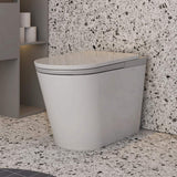 MEDUNJESS L-D Elongated Smart Toilet with Auto Open/Close and Heated Seat