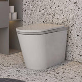 MEDUNJESS L-Z Elongated Smart Toilet with Auto Flush & Heated Seat